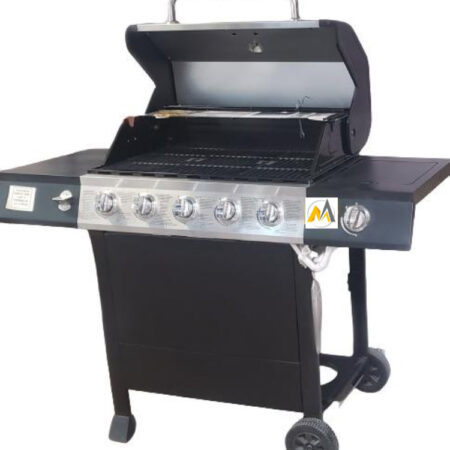 Asador de carne