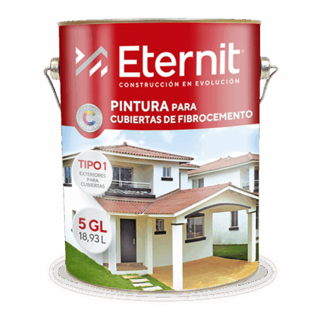 PINTURA TECHOS