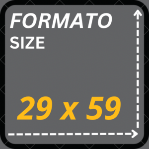 29 x 59
