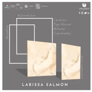 1522. Cod. 01-004-00684-173 larissa salmón