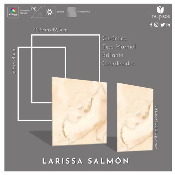 1522. Cod. 01-004-00684-173 larissa salmón