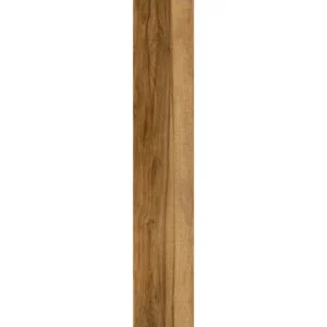 1610b. Cod. 01-066-00122-283 Aveiro ciprés.